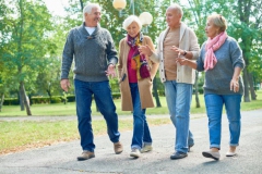 Portrait of two senior couples going for walk in park and smiling happily chatting on the way enjoying sunny autumn day